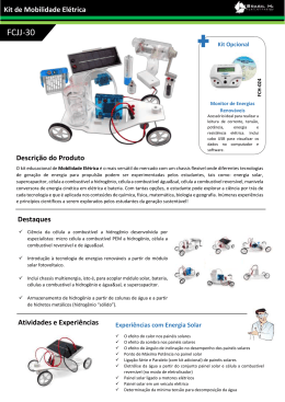 Kit de Mobilidade Elétrica - Horizon Fuel Cell/Brasil H2