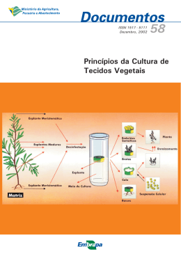 Princípios da Cultura de Tecidos Vegetais (2002)