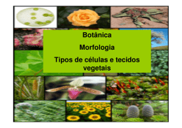 Botânica Morfologia Tipos de células e tecidos vegetais