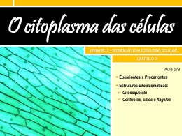 8. O Citoplasma das células Slides da aula