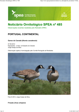 Noticiário Ornitológico SPEA nº 485