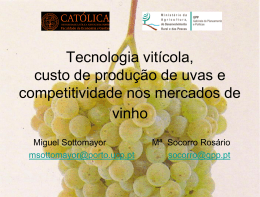 Tecnologia vitícola, custo de produção de uvas e