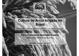 Cultura de Arroz Irrigado no Brasil