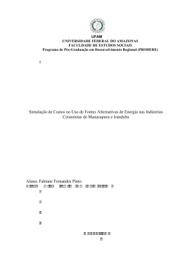 Dissertação - Fabiane Fernandes Pinto - TEDE