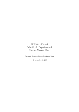 FEP0111 - F´ısica I Relatório do Experimento 1