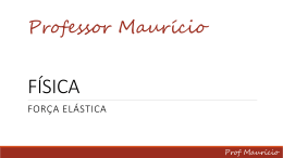 Professor Maurício