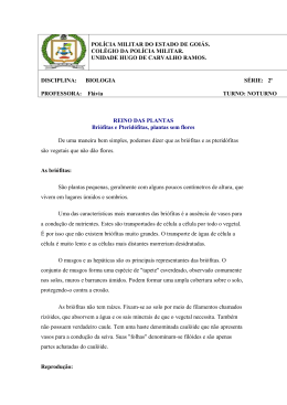 Baixar Arquivo - CPMG Hugo de Carvalho Ramos