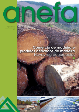 Comércio de madeira e produtos derivados de madeira
