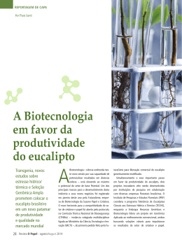 A Biotecnologia em favor da produtividade do eucalipto