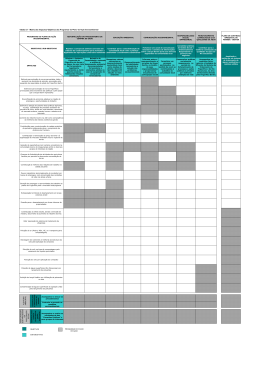 Tabela 9.1 - Matriz dos Impactos/ Objetivos dos Programas do Plano