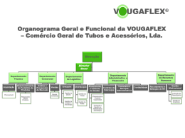 Organograma Geral e Funcional da VOUGAFLEX