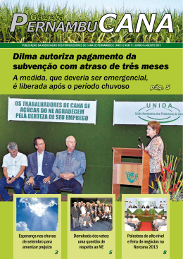 Nº 11 - Associação dos Fornecedores de Cana de Pernambuco