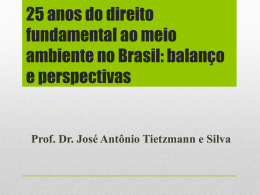 25 anos do direito fundamental ao meio ambiente no Brasil: balanço