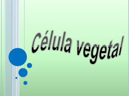 Célula vegetal (438210)