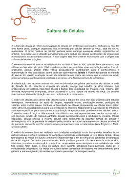 Cultura de Células - Universidade Federal de Minas Gerais