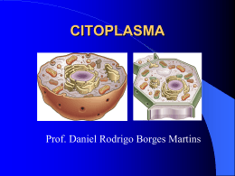 citoplasma - componentes