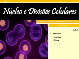 10.2 Ciclo celular e Mitose Slides da aula