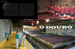 O DOurO - Instituto dos Vinhos do Douro e Porto