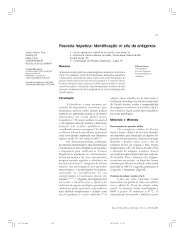 Fasciola hepatica: identificação in situ de antígenos
