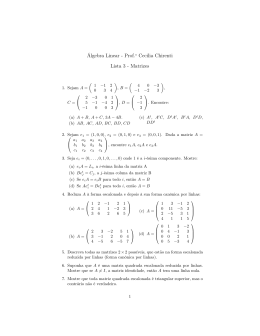 Álgebra Linear - Prof.a Cecilia Chirenti Lista 3