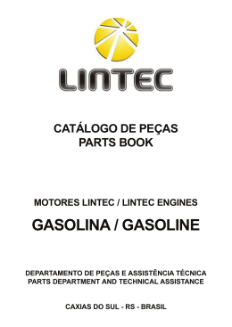 GASOLINA / GASOLINE - Lintec Veículos e Motores