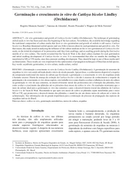 Germinação e crescimento in vitro de Cattleya bicolor