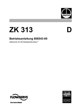 ZK 313 D