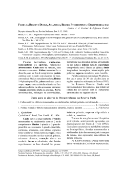 Dryopteridaceae, Carlos A. A. Freitas & Jefferson Prado