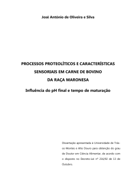 Tese Doutoramento Antonio Silva