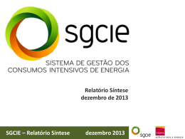 SGCIE – Relatório Síntese dezembro 2013