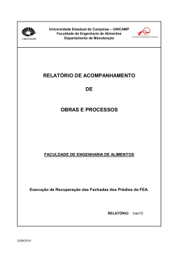 Relatório PDF - FEA