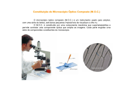 Constituição do Microscópio Óptico Composto (M.O.C.)