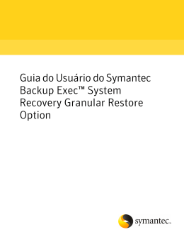 Guia do Usuário do Symantec Backup Exec™ System Recovery