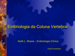 Embriologia da Coluna Vertebral