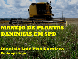 MANEJO DE PLANTAS DANINHAS EM SPD