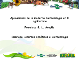 Aplicaciones de la moderna biotecnología en la agricultura
