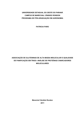Dissertação final_PDF