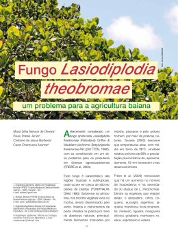 Fungo Lasiodiplodia theobromae: um problema para a
