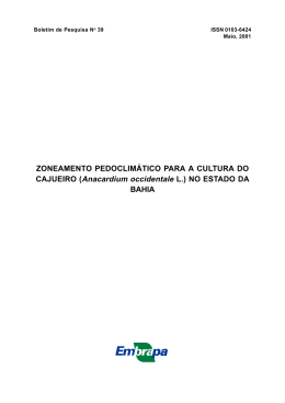 Bahia - Cajucultura