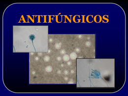ANTIFÚNGICOS - Microbiologia