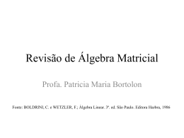 X - Profa. Patricia Maria Bortolon