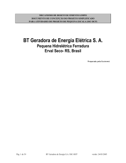 BT Geradora de Energia Elétrica S. A.