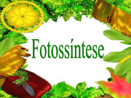fotossíntese