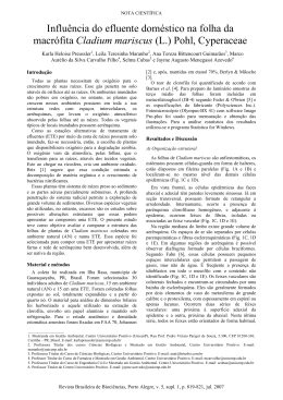 Influência do efluente doméstico na folha da macrófita Cladium