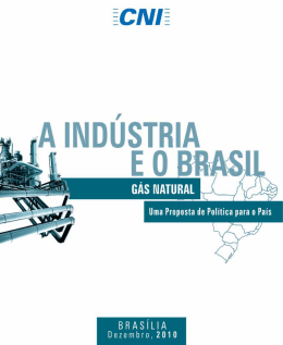 gás natural: uma proposta de política para o Brasil