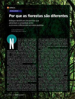 Por que as florestas são diferentes