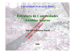 Apresentação do PowerPoint - amphibia ufba