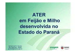 ATER em Feijão e Milho desenvolvida no Estado do Paraná