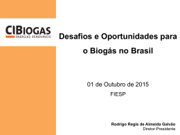 Desafios e Oportunidades para o Biogás no Brasil