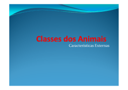 Classes dos Animais [Modo de Compatibilidade]